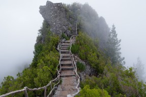 世界短道速滑教练互访成果集锦公开展播，短道速滑主帅