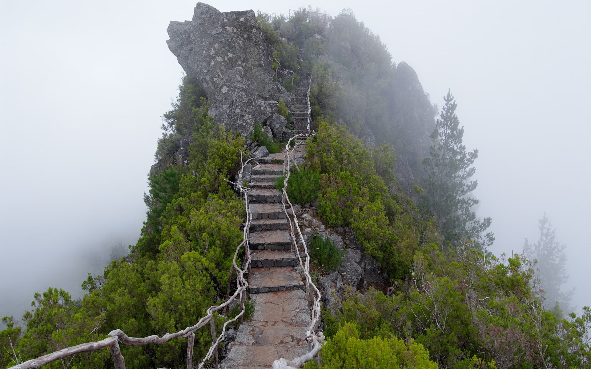 世界短道速滑教练互访成果集锦公开展播,短道速滑主帅